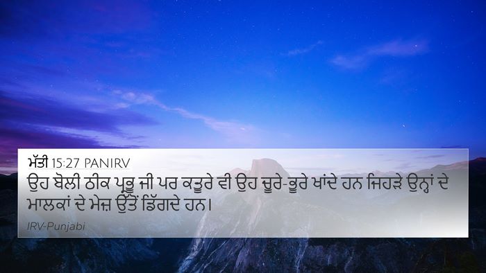 ਮੱਤੀ 15:27 PANIRV Bible Verse Image