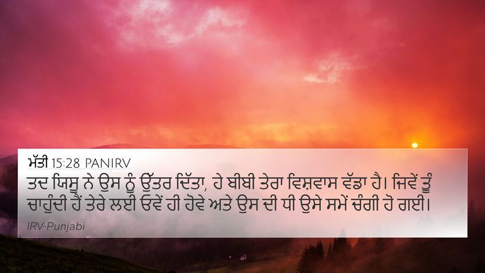 ਮੱਤੀ 15:28 PANIRV Bible Verse Image
