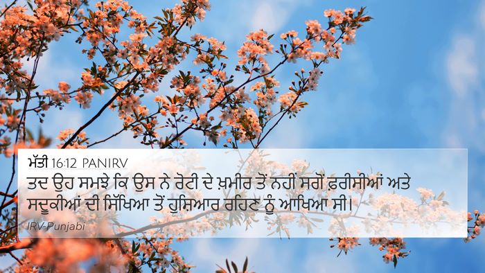 ਮੱਤੀ 16:12 PANIRV Bible Verse Image