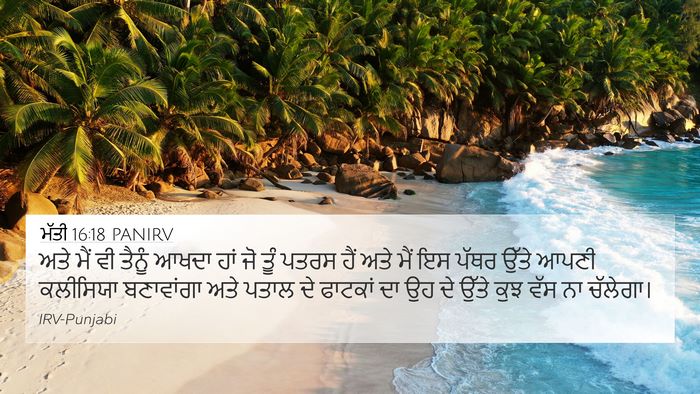 ਮੱਤੀ 16:18 PANIRV Bible Verse Image