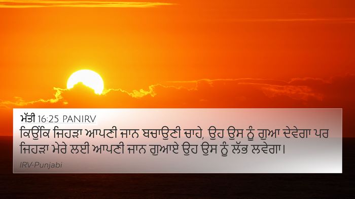 ਮੱਤੀ 16:25 PANIRV Bible Verse Image