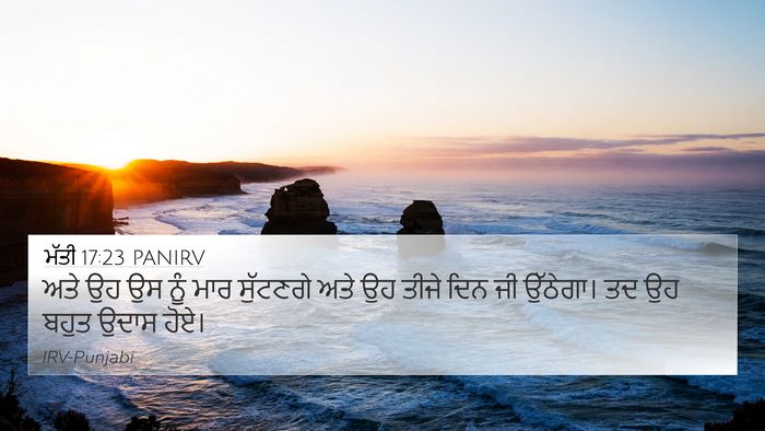 ਮੱਤੀ 17:23 PANIRV Bible Verse Image