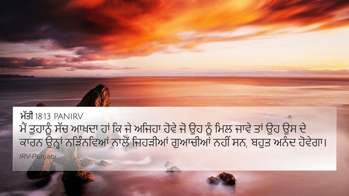 ਮੱਤੀ 18:13 PANIRV Bible Verse Image
