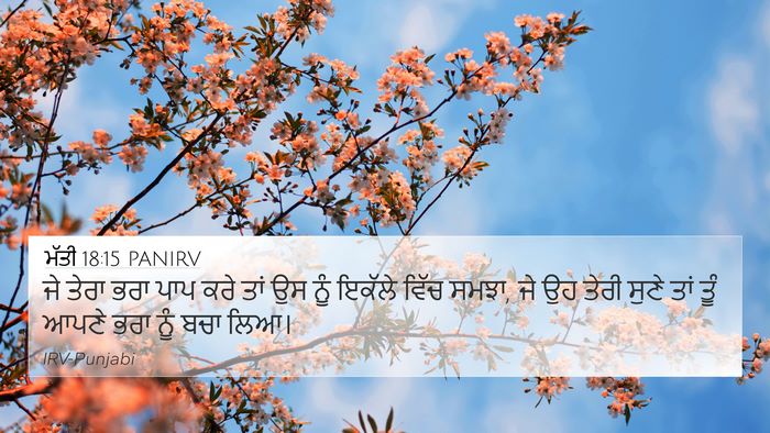ਮੱਤੀ 18:15 PANIRV Bible Verse Image
