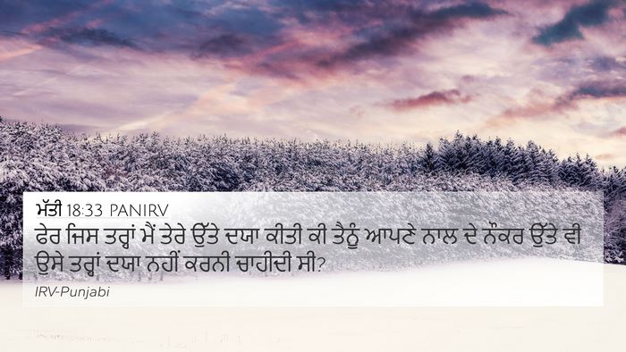 ਮੱਤੀ 18:33 PANIRV Bible Verse Image