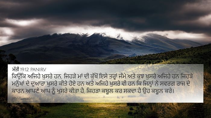 ਮੱਤੀ 19:12 PANIRV 4K Wallpaper - ਕਿਉਂਕਿ ਅਜਿਹੇ - 4K Wallpaper Bible Verse