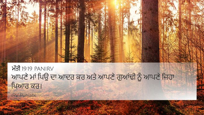 ਮੱਤੀ 19:19 PANIRV Bible Verse Image