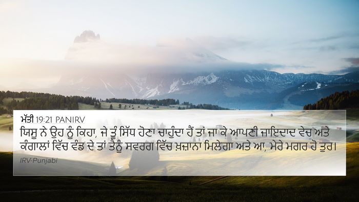 ਮੱਤੀ 19:21 PANIRV Bible Verse Image