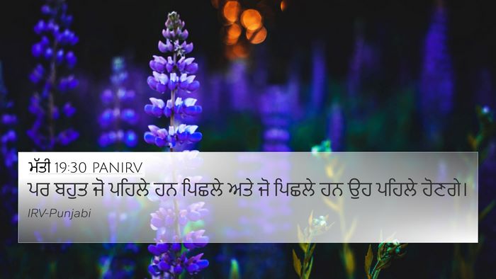 ਮੱਤੀ 19:30 PANIRV Bible Verse Image