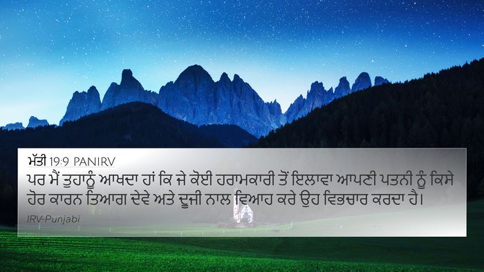 ਮੱਤੀ 19:9 PANIRV Bible Verse Image