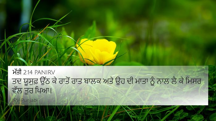 ਮੱਤੀ 2:14 PANIRV 4K Wallpaper - ਤਦ ਯੂਸੁਫ਼ ਉੱਠ ਕੇ - 4K Wallpaper Bible Verse