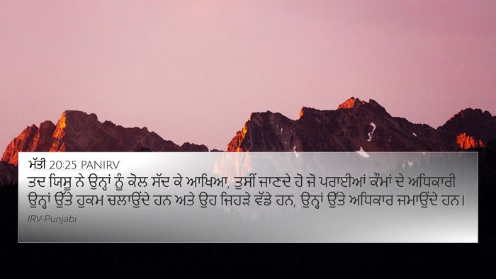 ਮੱਤੀ 20:25 PANIRV Bible Verse Image