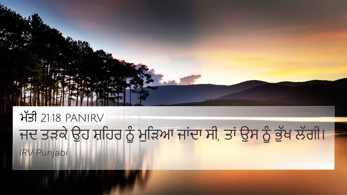 ਮੱਤੀ 21:18 PANIRV Bible Verse Image
