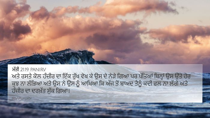 ਮੱਤੀ 21:19 PANIRV Bible Verse Image