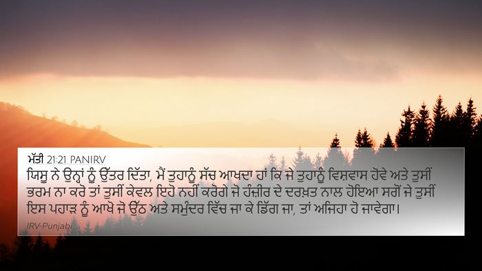 ਮੱਤੀ 21:21 PANIRV Bible Verse Image
