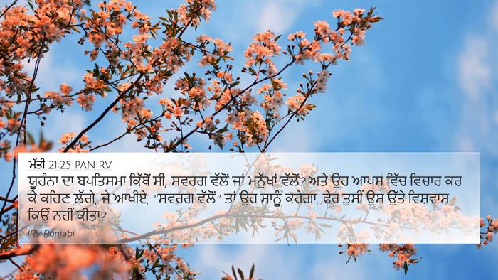 ਮੱਤੀ 21:25 PANIRV Bible Verse Image