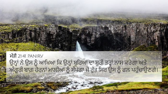 ਮੱਤੀ 21:41 PANIRV Bible Verse Image