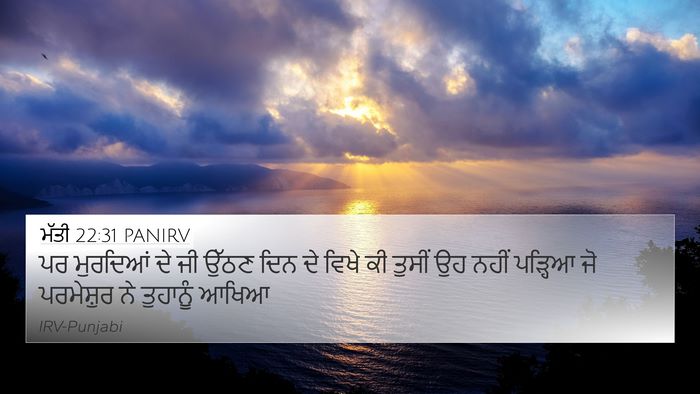 ਮੱਤੀ 22:31 PANIRV Bible Verse Image