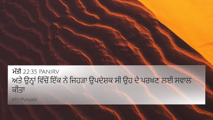 ਮੱਤੀ 22:35 PANIRV Bible Verse Image