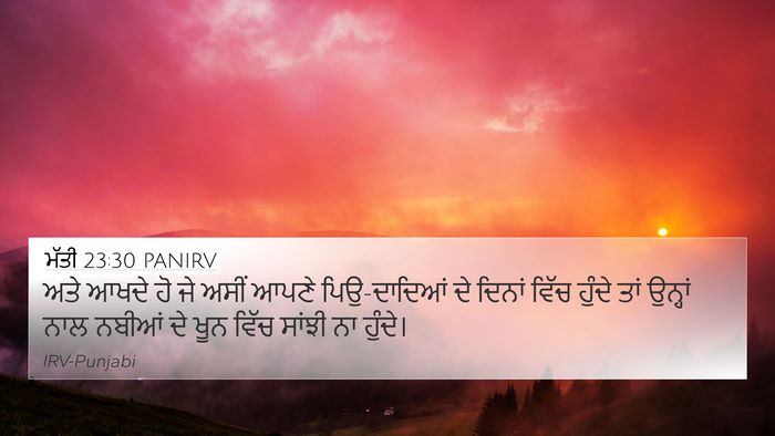 ਮੱਤੀ 23:30 PANIRV Bible Verse Image