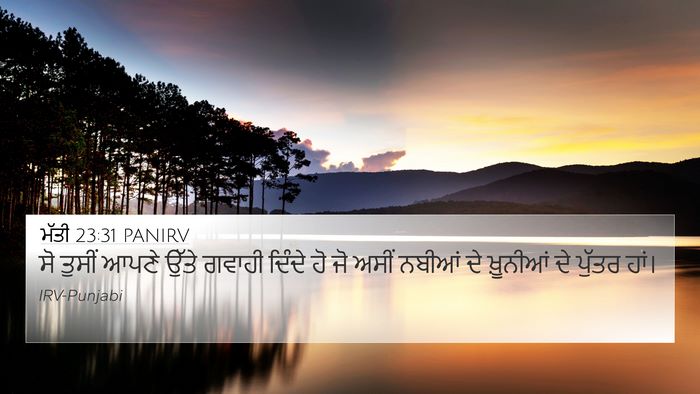 ਮੱਤੀ 23:31 PANIRV Bible Verse Image