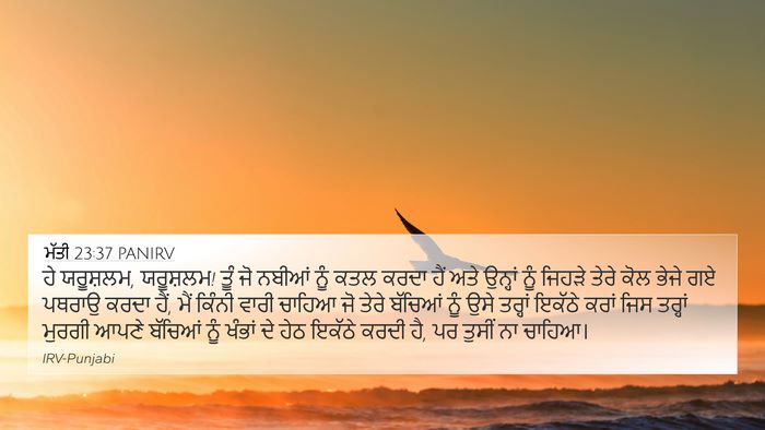 ਮੱਤੀ 23:37 PANIRV Bible Verse Image