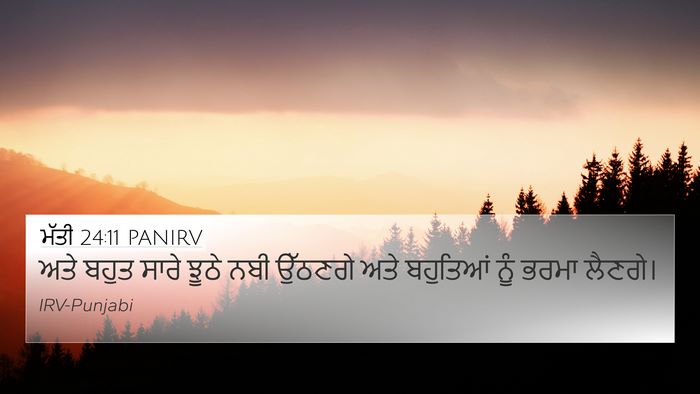 ਮੱਤੀ 24:11 PANIRV Bible Verse Image