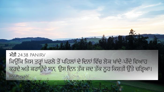ਮੱਤੀ 24:38 PANIRV Bible Verse Image