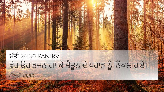 ਮੱਤੀ 26:30 PANIRV 4K Wallpaper - ਫੇਰ ਉਹ ਭਜਨ ਗਾ ਕੇ - 4K Wallpaper Bible Verse