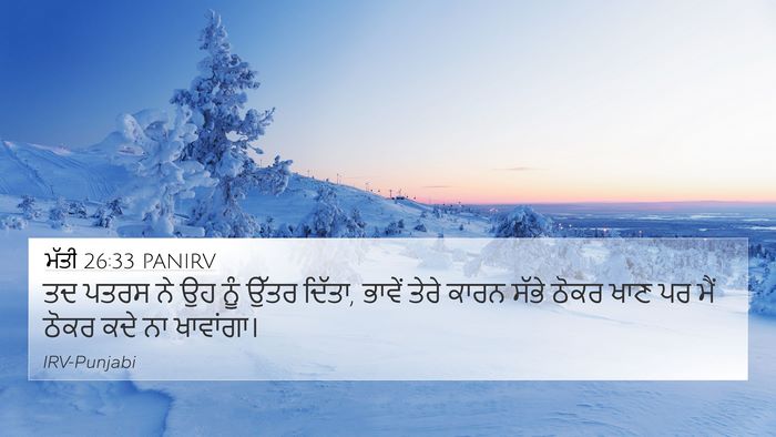 ਮੱਤੀ 26:33 PANIRV 4K Wallpaper - ਤਦ ਪਤਰਸ ਨੇ ਉਹ ਨੂੰ - 4K Wallpaper Bible Verse