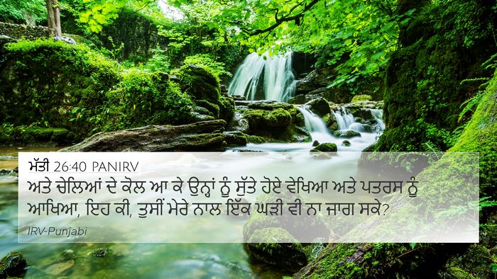 ਮੱਤੀ 26:40 PANIRV Bible Verse Image