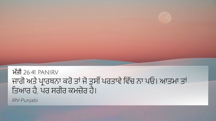 ਮੱਤੀ 26:41 PANIRV Bible Verse Image