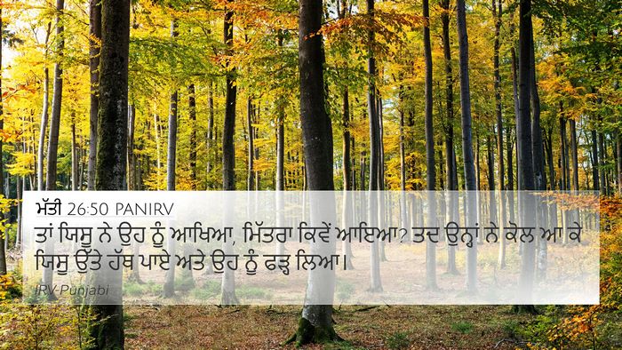 ਮੱਤੀ 26:50 PANIRV Bible Verse Image