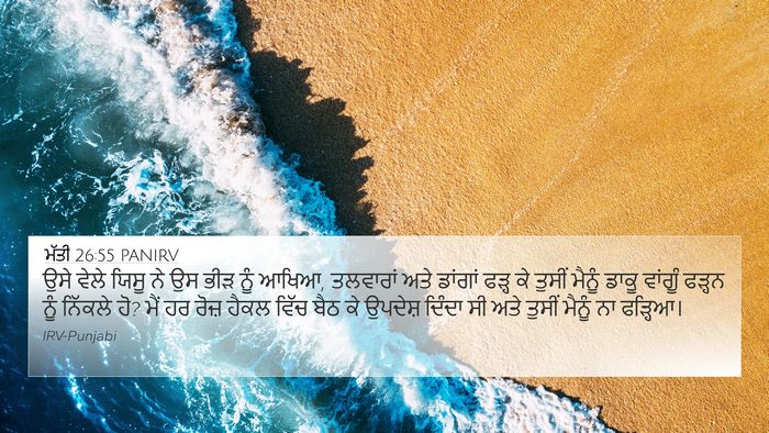 ਮੱਤੀ 26:55 PANIRV Bible Verse Image