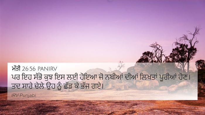 ਮੱਤੀ 26:56 PANIRV Bible Verse Image