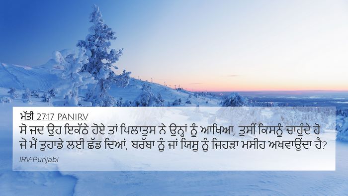ਮੱਤੀ 27:17 PANIRV Bible Verse Image