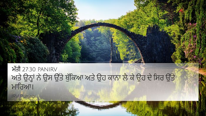 ਮੱਤੀ 27:30 PANIRV Bible Verse Image