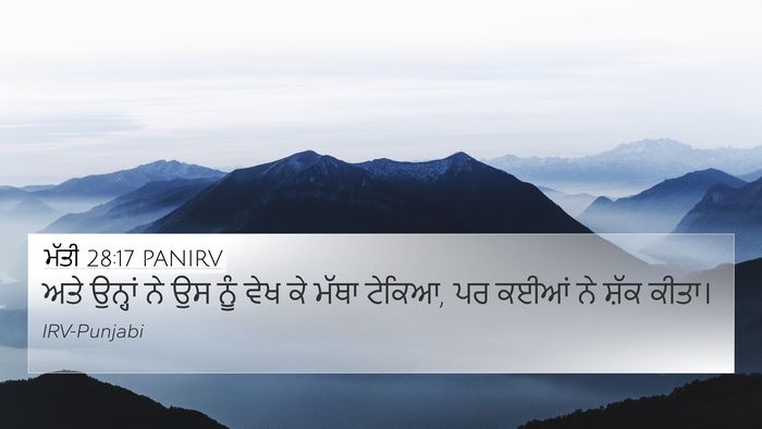 ਮੱਤੀ 28:17 PANIRV Bible Verse Image