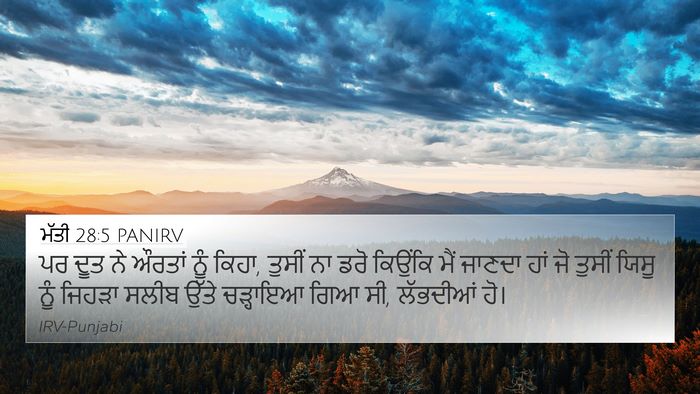 ਮੱਤੀ 28:5 PANIRV Bible Verse Image