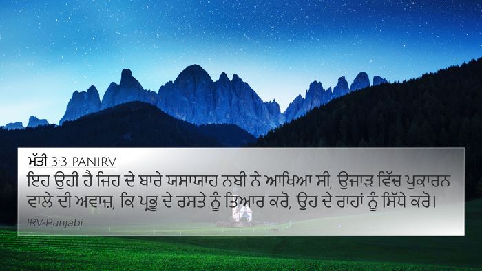 ਮੱਤੀ 3:3 PANIRV Bible Verse Image