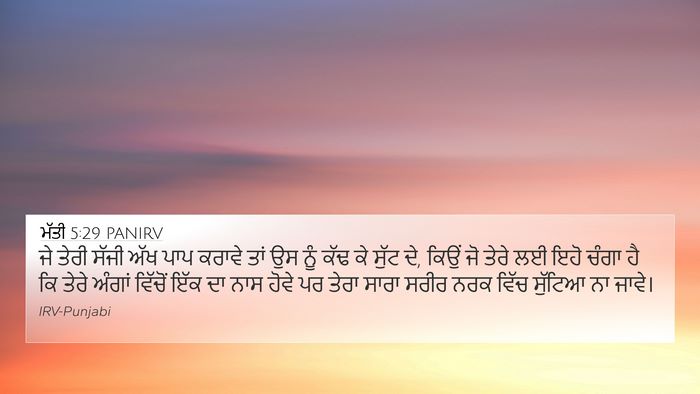 ਮੱਤੀ 5:29 PANIRV Bible Verse Image