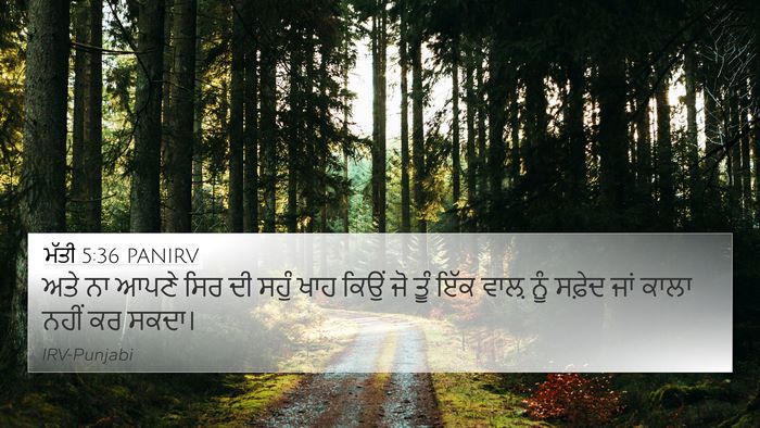 ਮੱਤੀ 5:36 PANIRV Bible Verse Image