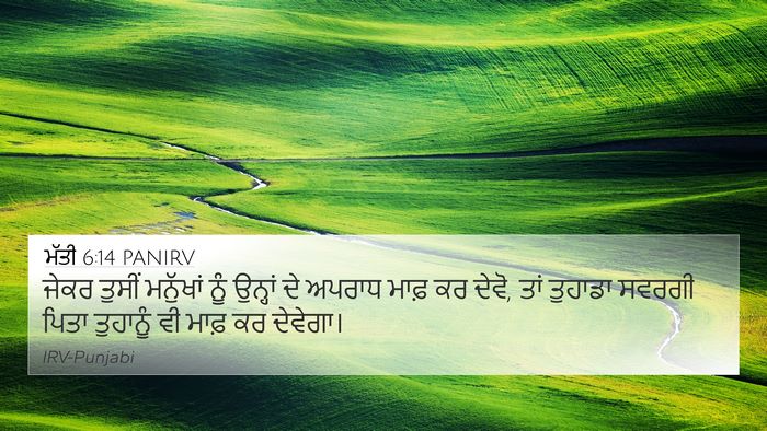 ਮੱਤੀ 6:14 PANIRV Bible Verse Image