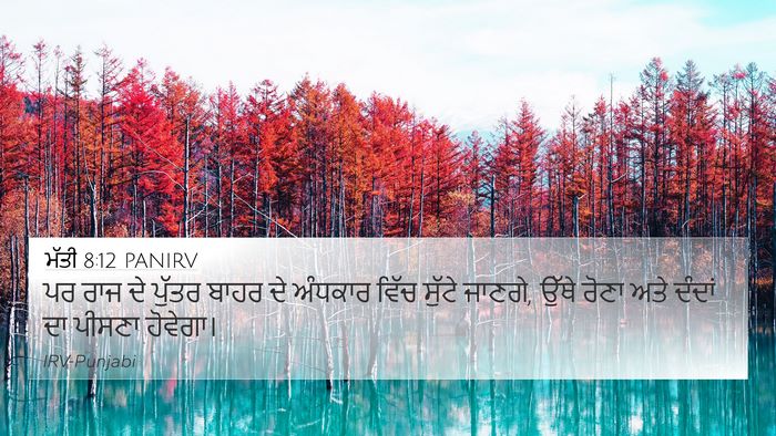 ਮੱਤੀ 8:12 PANIRV Bible Verse Image