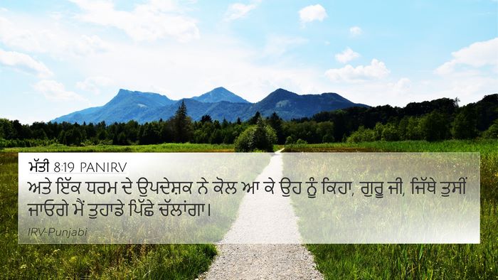 ਮੱਤੀ 8:19 PANIRV Bible Verse Image