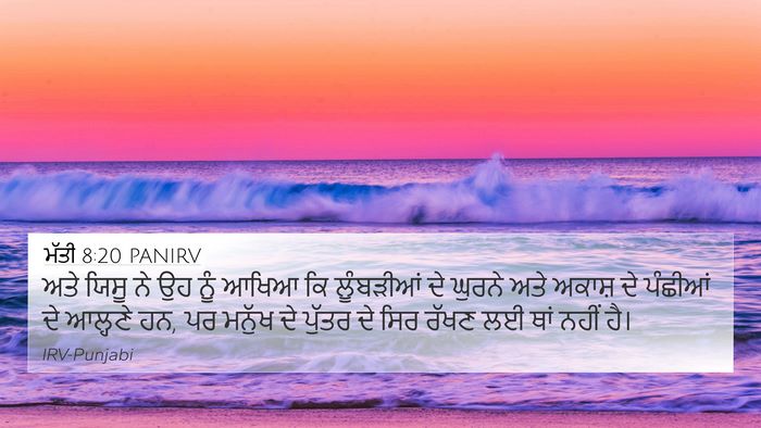 ਮੱਤੀ 8:20 PANIRV Bible Verse Image