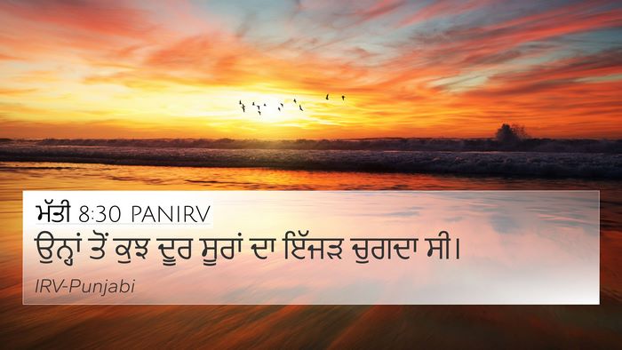 ਮੱਤੀ 8:30 PANIRV Bible Verse Image