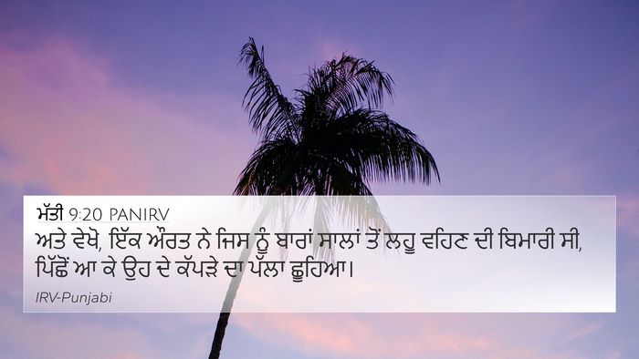 ਮੱਤੀ 9:20 PANIRV Bible Verse Image