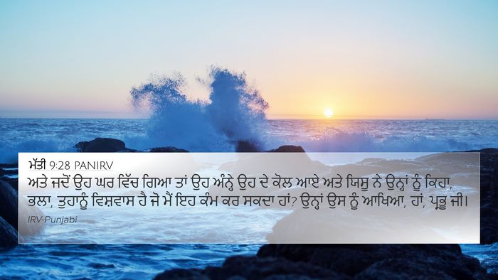 ਮੱਤੀ 9:28 PANIRV Bible Verse Image