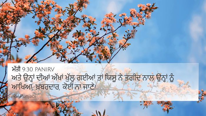 ਮੱਤੀ 9:30 PANIRV Bible Verse Image